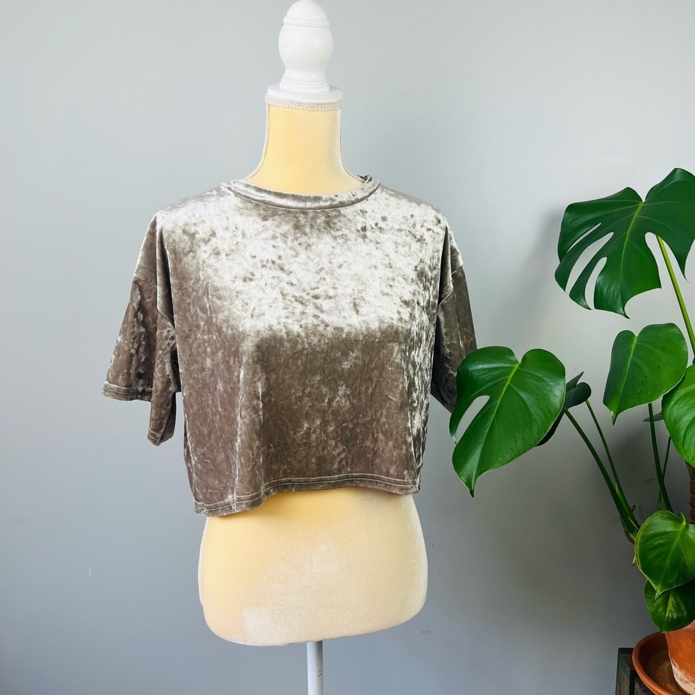 Urban outfitters crushed velvet crop top